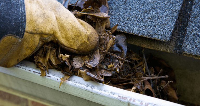 WHAT IS OGEE STYLE GUTTERING AND WHY IS IT USED?